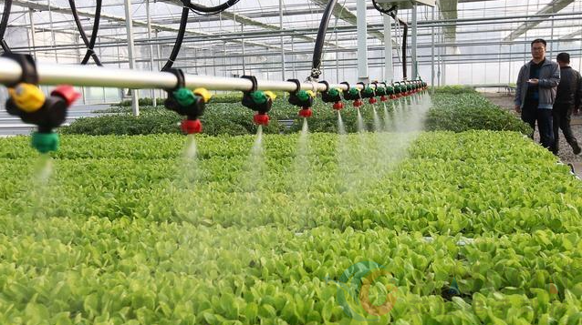 工业平板在智慧农业中对自动化灌溉解决方案(图2)